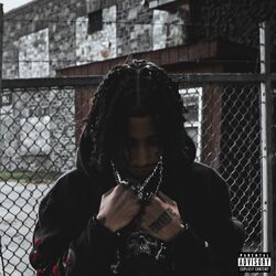 Cover of Loner Boy
