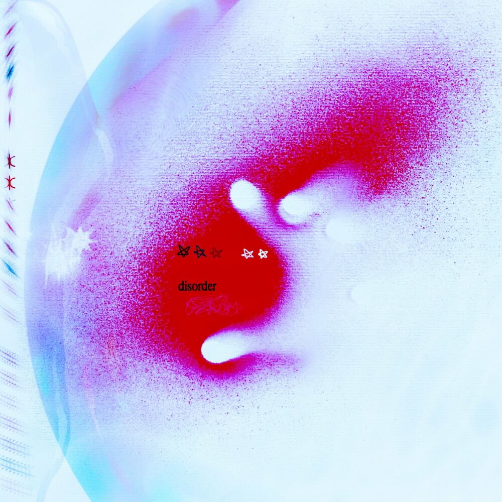 Picture of Disorder