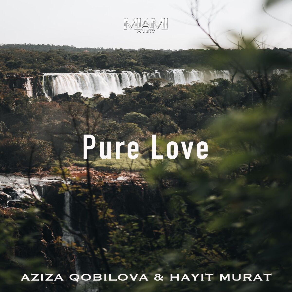 Album cover of Pure Love