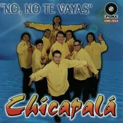 Cover of No, No Te Vayas