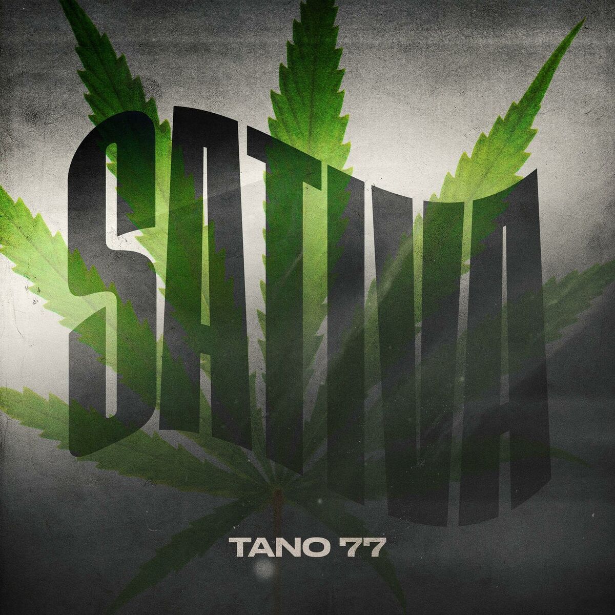 Album cover of Sativa