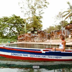 Cover of Dominican Mami