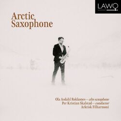 Cover of Arctic Lines: V. Arctic November