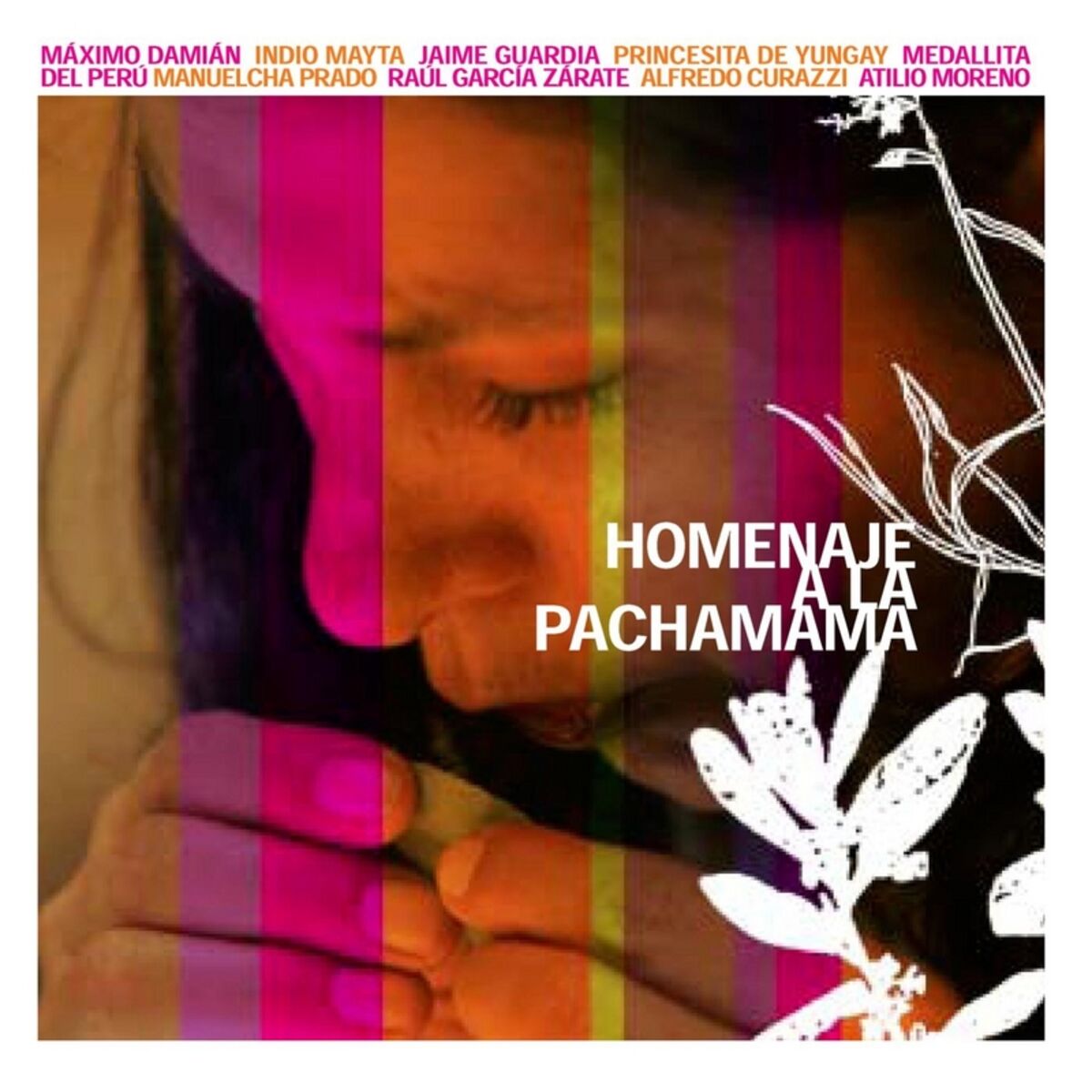 Album cover of Homenaje a la Pachamama