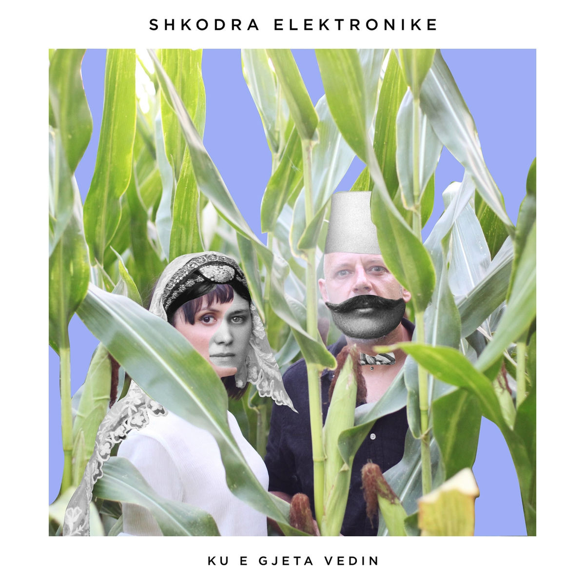 Album cover of Ku E Gjeta Vedin