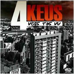 Cover of Vois t'as vu
