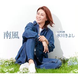 Cover of Minamikaze (E Type)