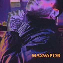 Cover of Maxvapor