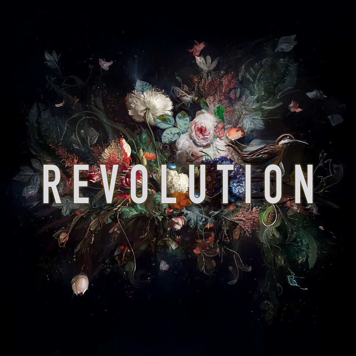 Album cover of Revolution
