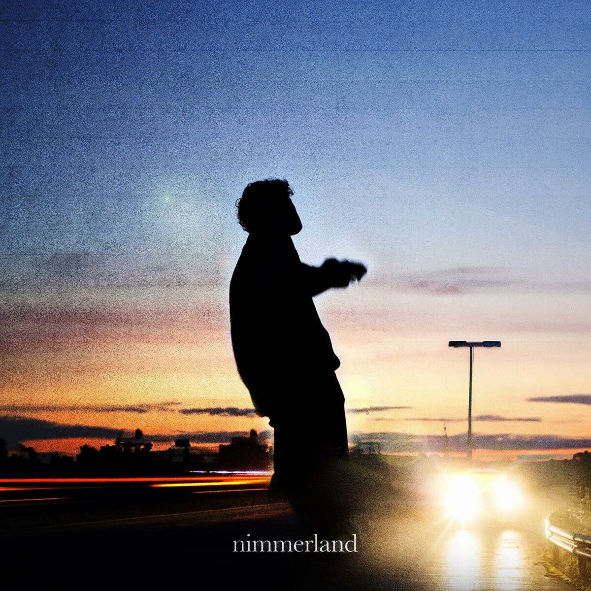 Album cover of nimmerland