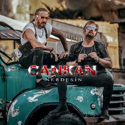 Cover of Nerdesin
