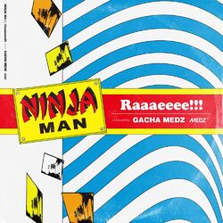 Cover of Raaaeeee!!!