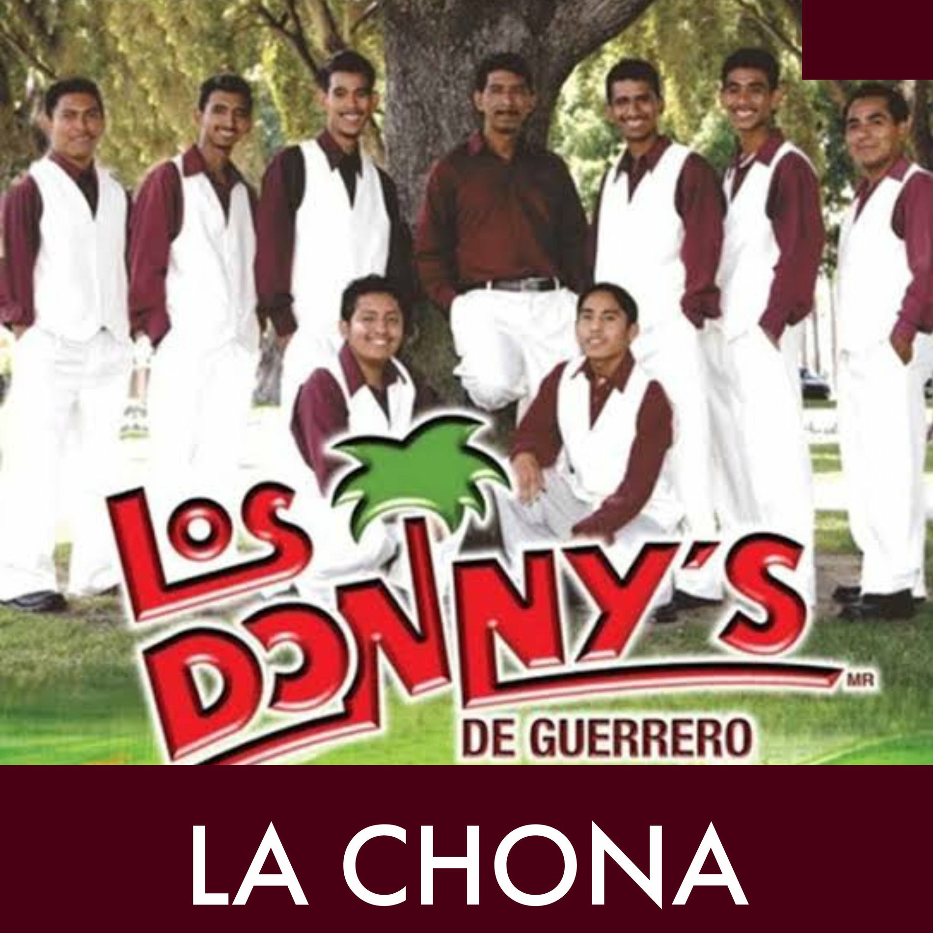 Album cover of El Corrido de la Gallina