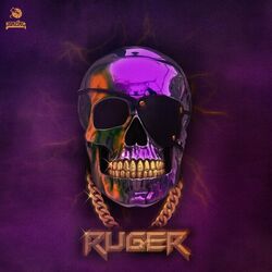 Cover of Ruger