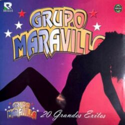 Cover of 20 Grandes Exitos