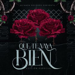 Cover of Que Te Vaya Bien