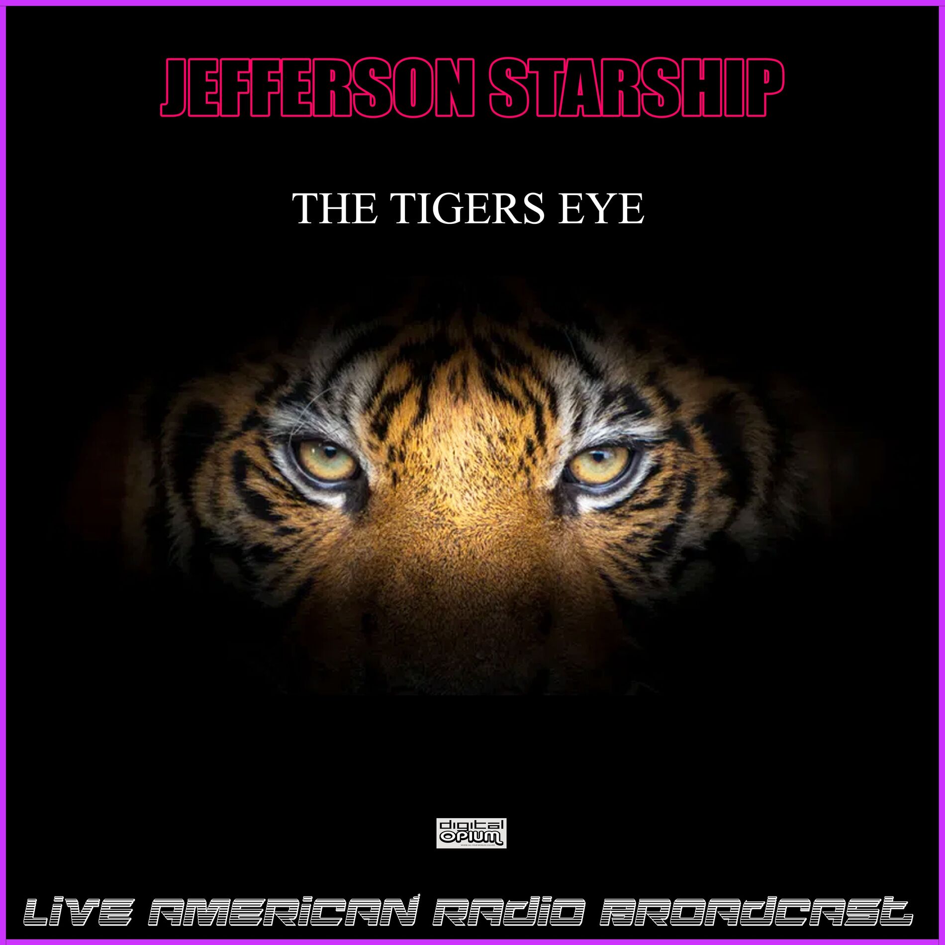 Album cover of The Tigers Eye (Live)