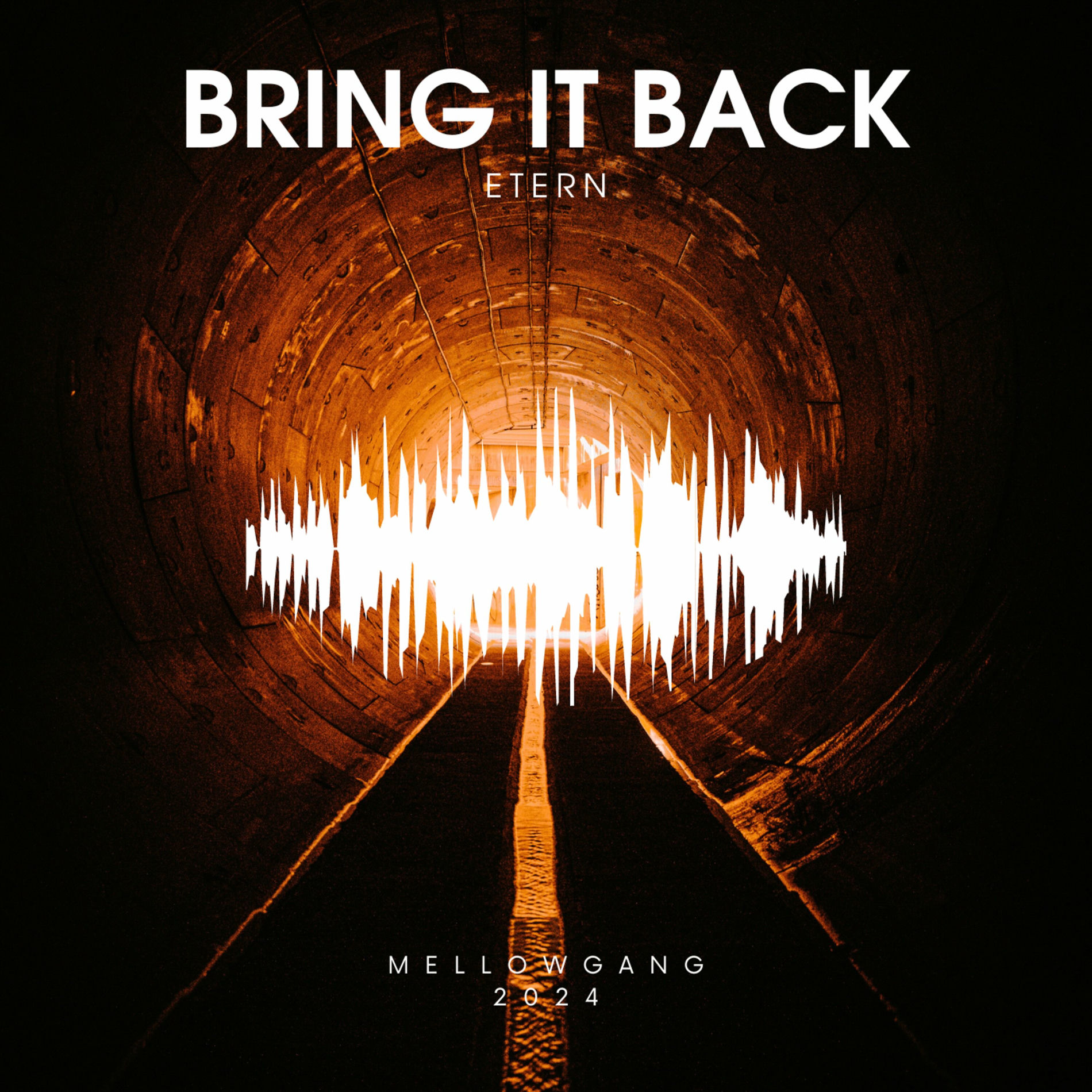 Album cover of Bring It Back