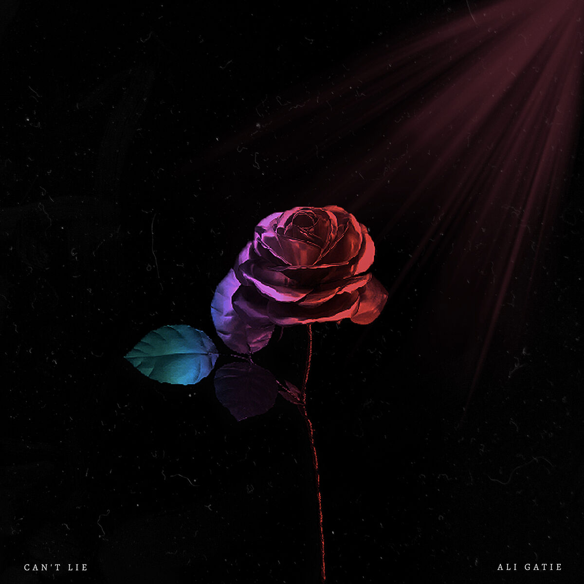 Album cover of Can't Lie
