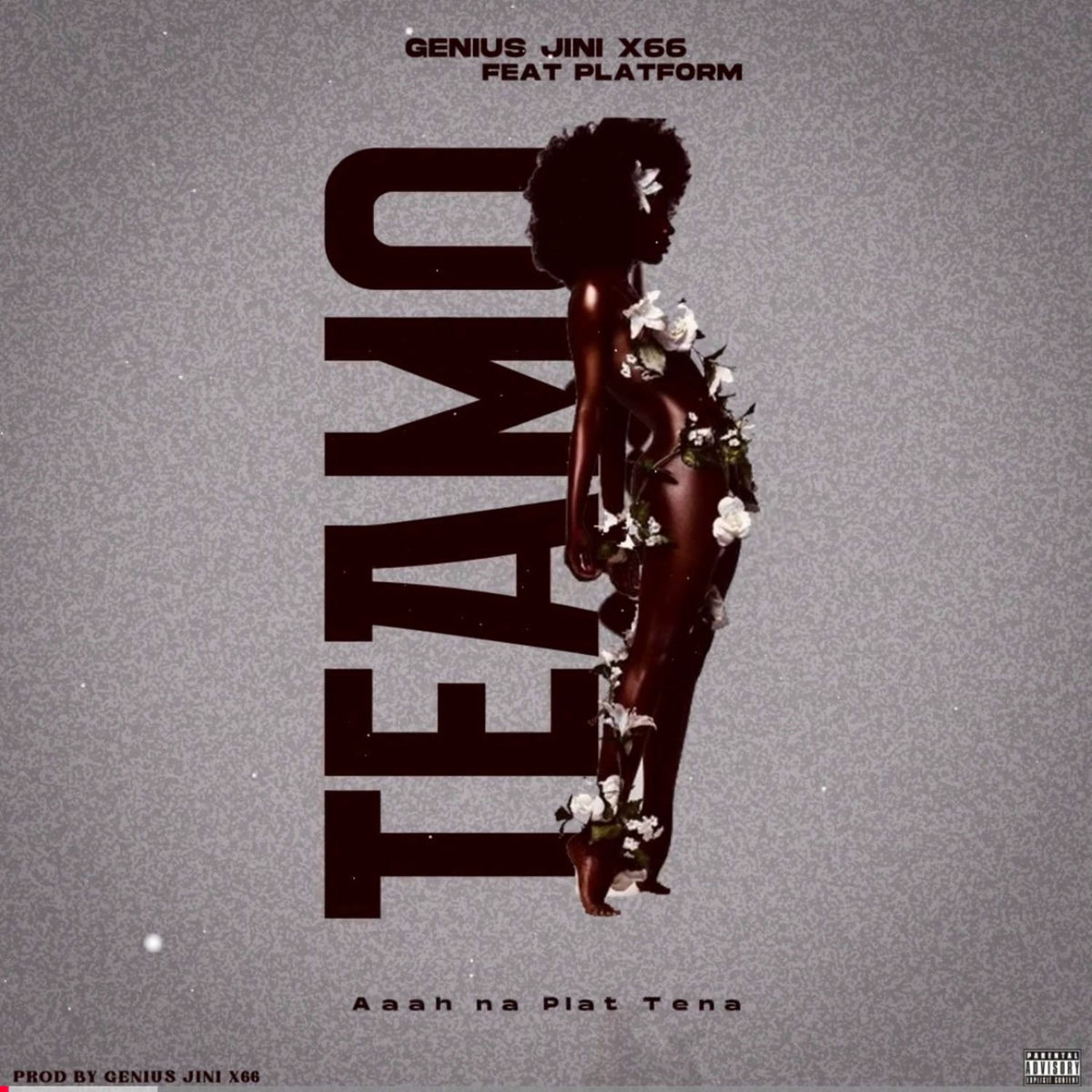 Album cover of Teamo