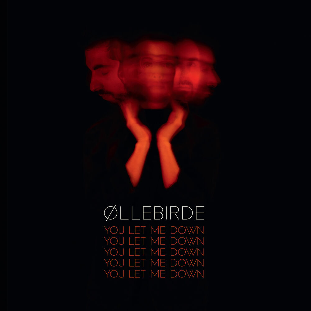 Picture of You Let Me Down