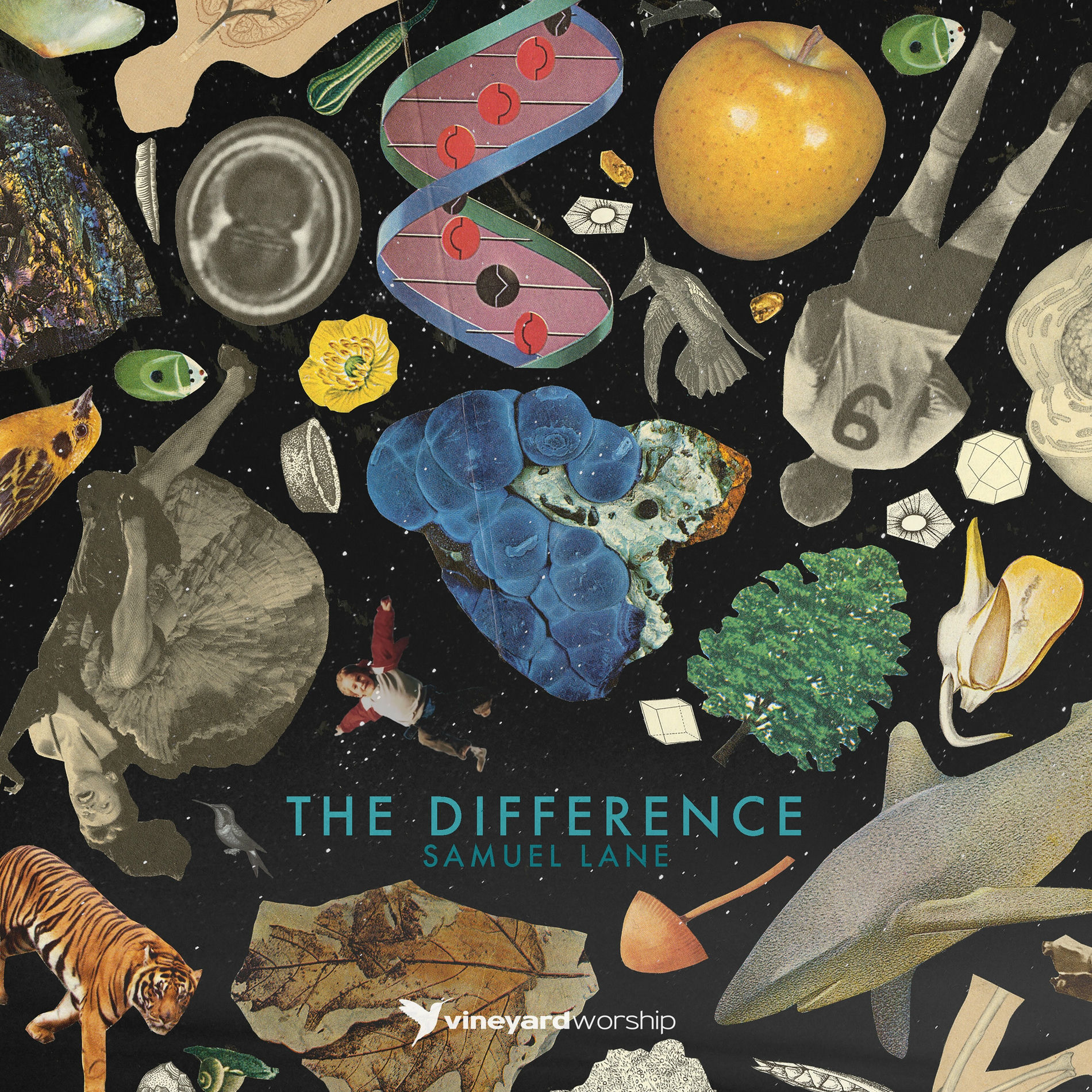 Album cover of The Difference