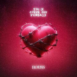 Cover of J'ai le cœur qui s'emballe