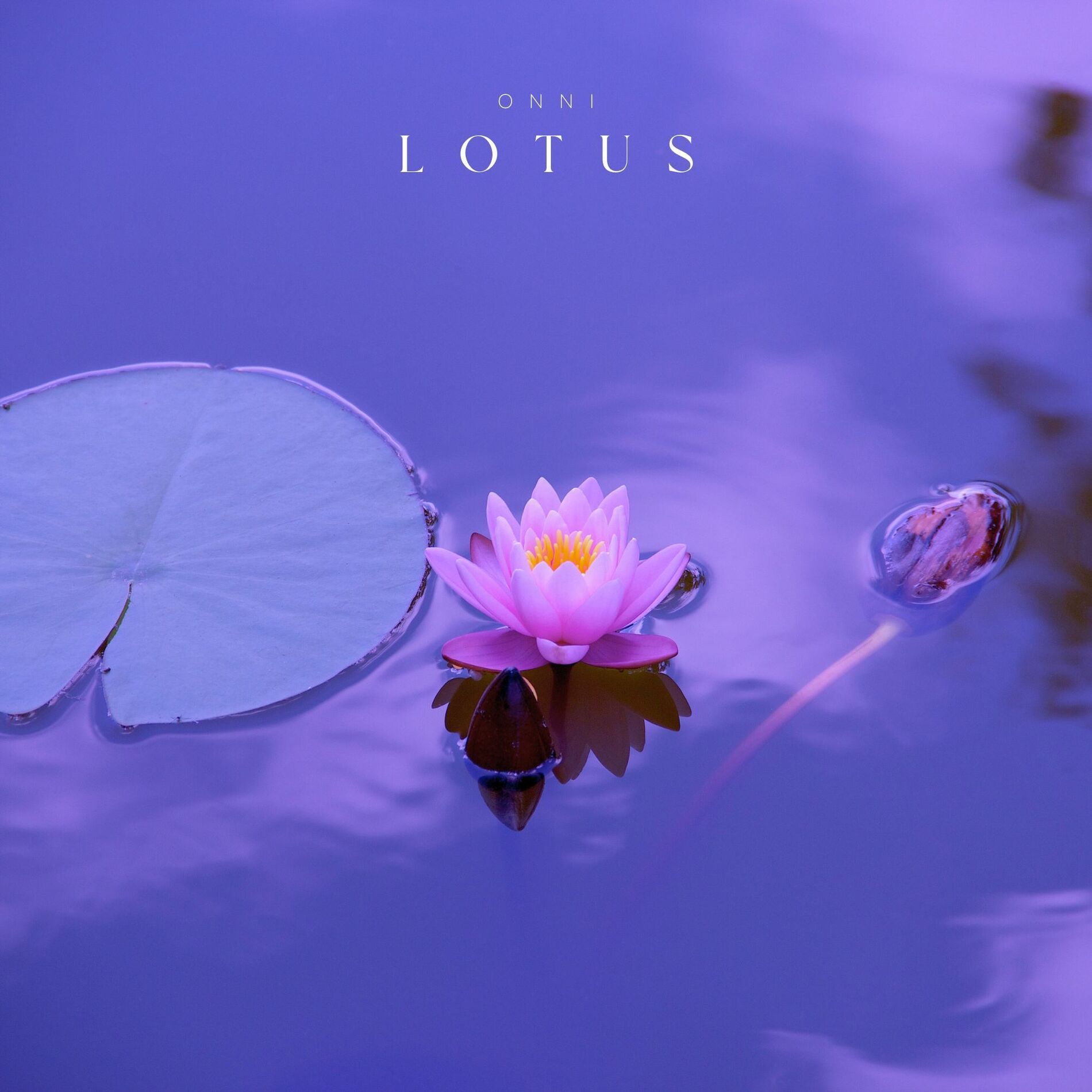 Album cover of Lotus