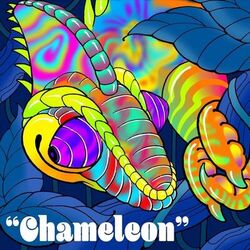 Cover of Chameleon