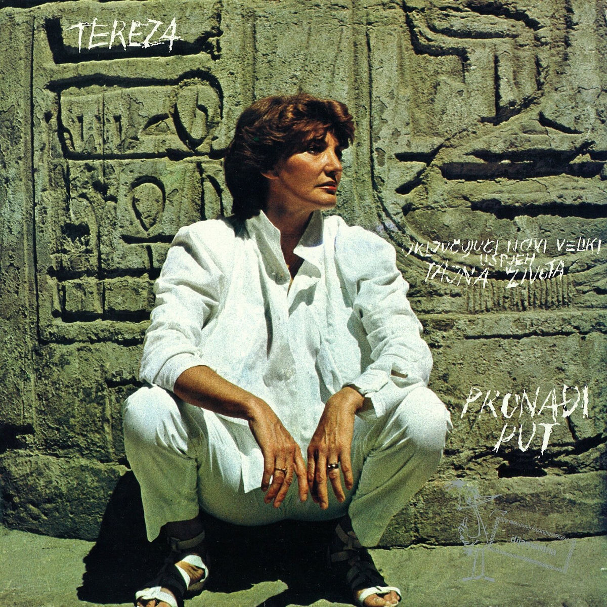 Album cover of Pronađi Put