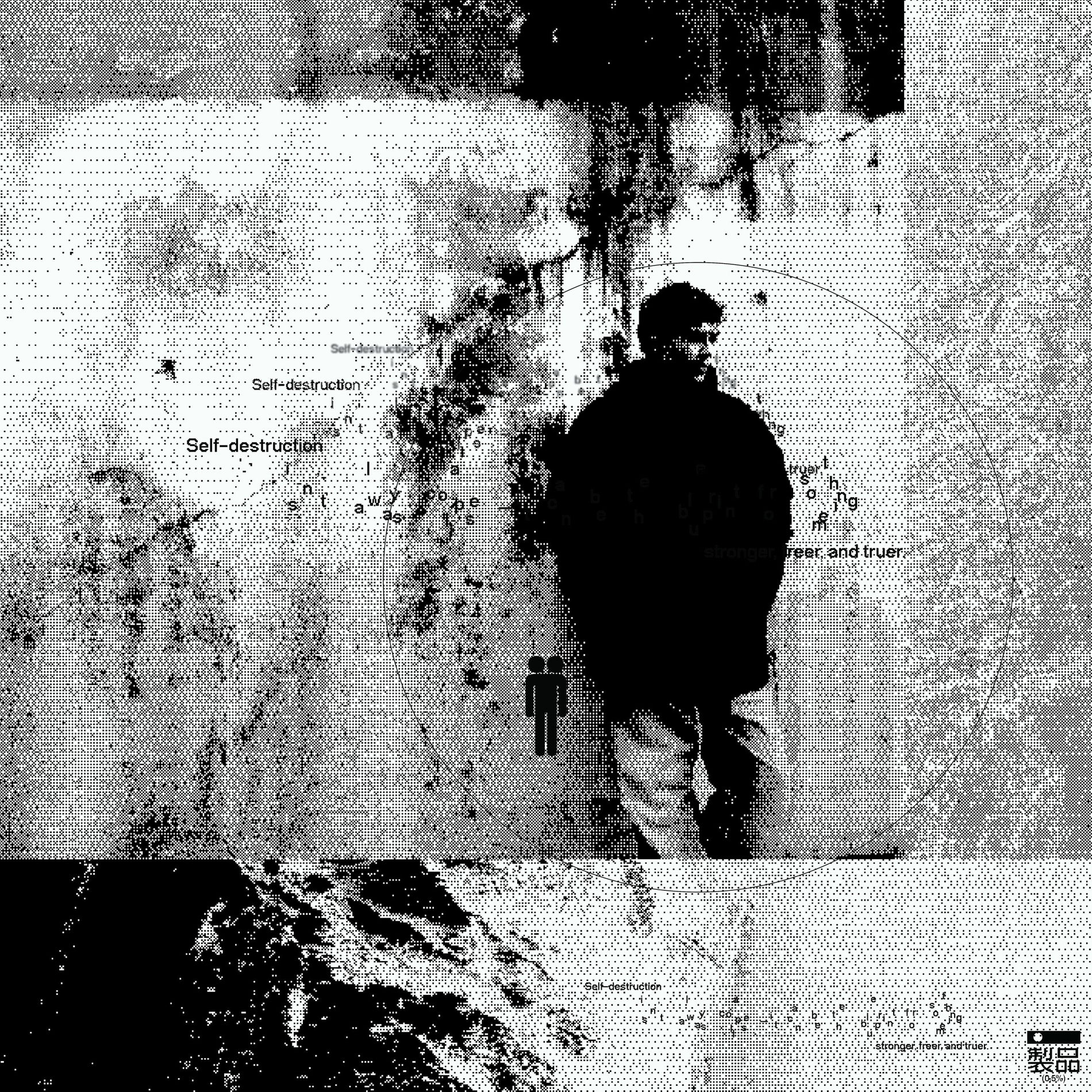 Album cover of Self-Destructive Methods for Master Fabrications 2.0