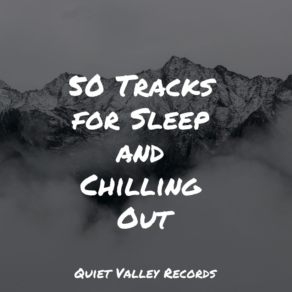 Picture of 50 Tracks for Sleep and Chilling Out