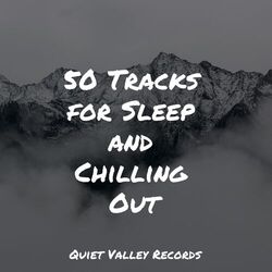 Cover of 50 Tracks for Sleep and Chilling Out