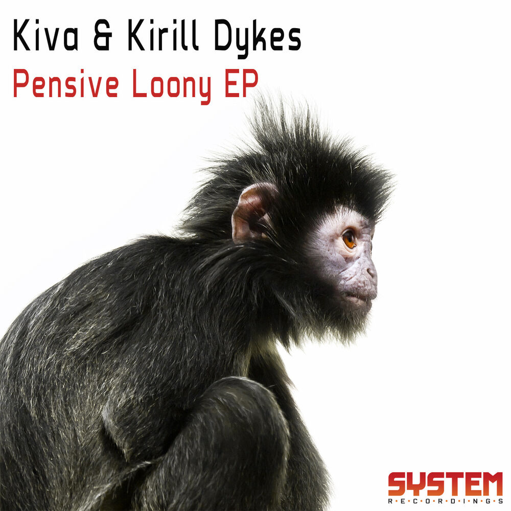 Picture of Pensive Looney EP