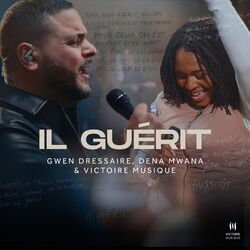 Cover of Il guérit
