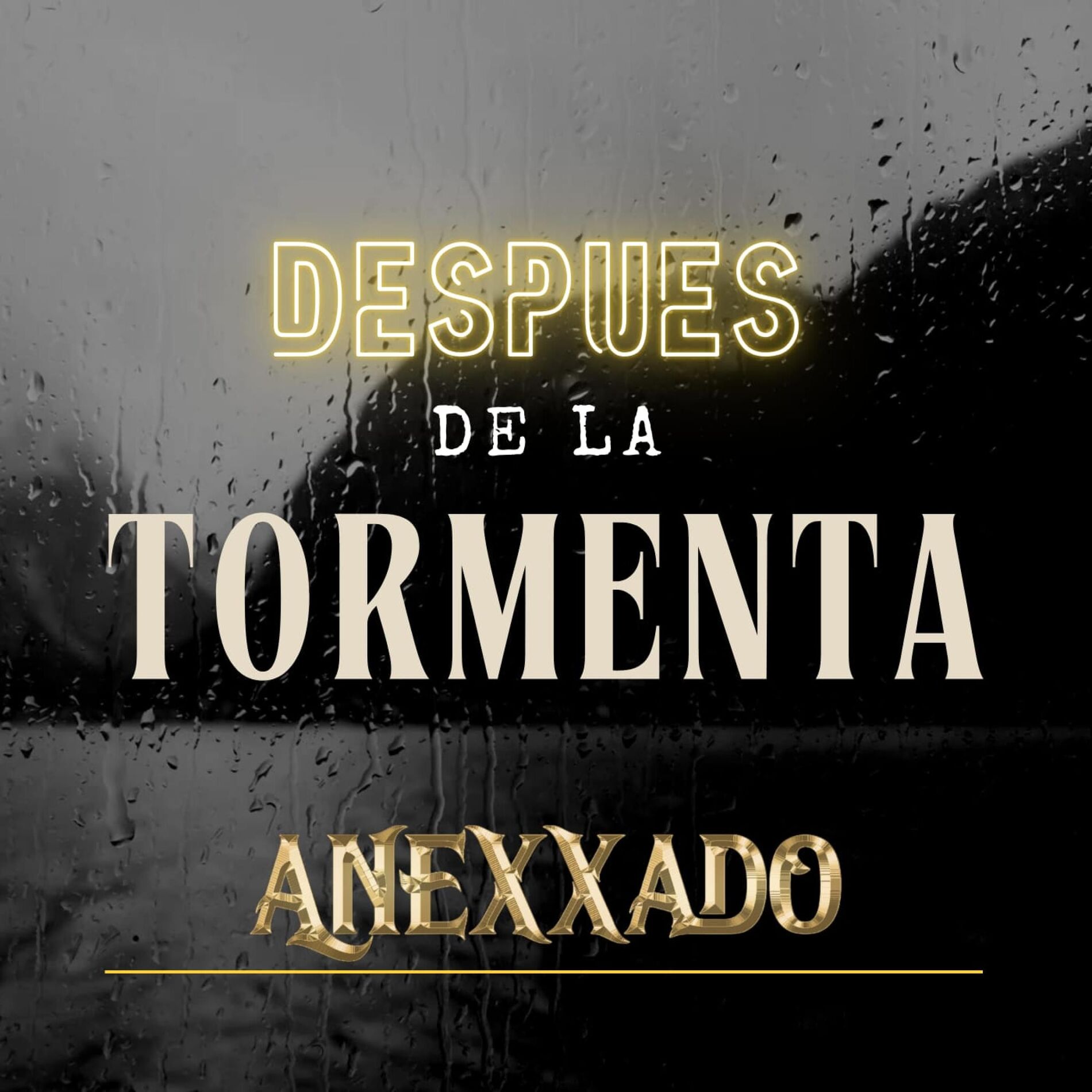 Album cover of Despues De La Tormenta