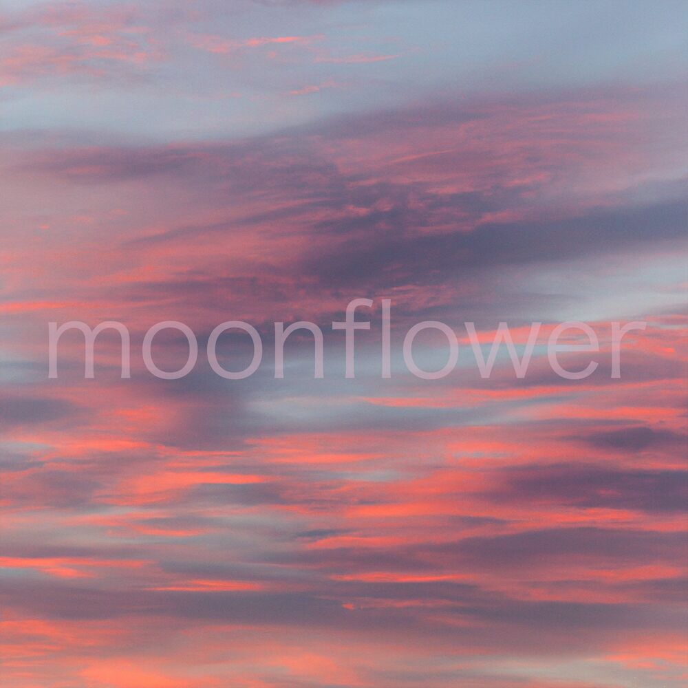 Picture of Painted Wind