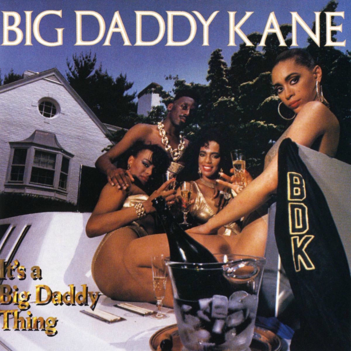 Album picture of It's A Big Daddy Thing