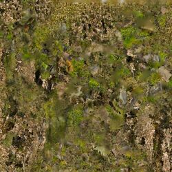 Cover of Inner Forest