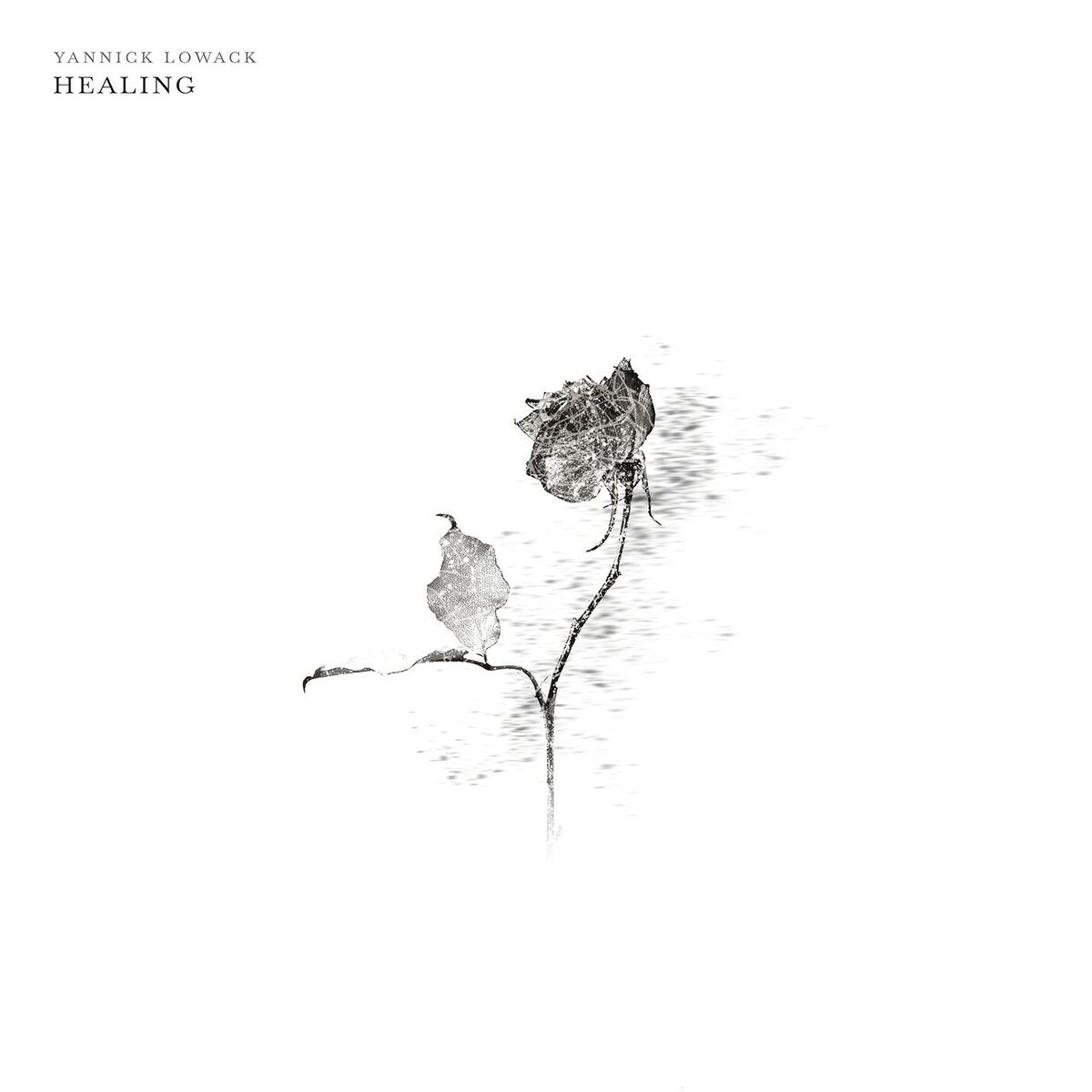 Album cover of Healing