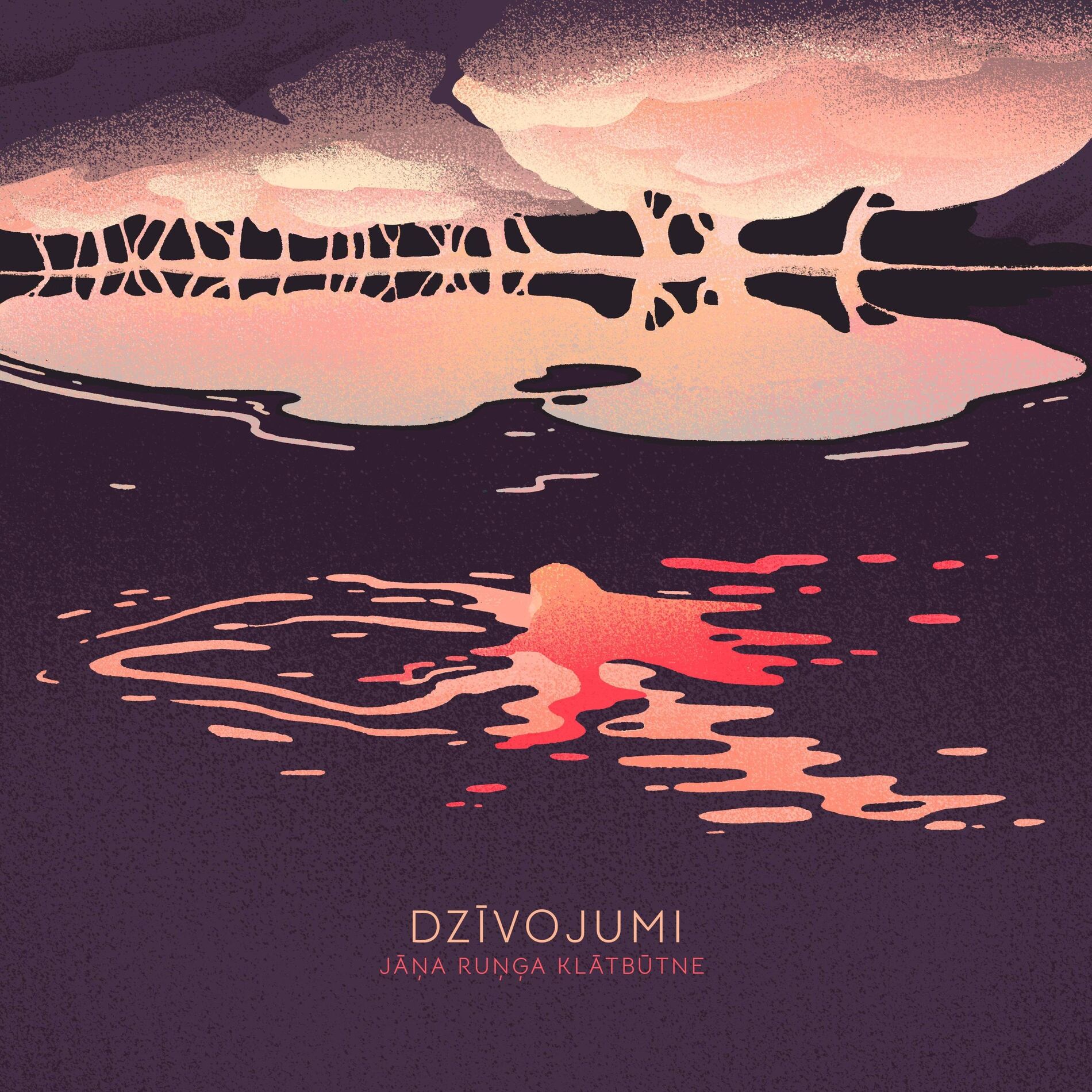 Album cover of Dzīvojumi