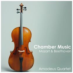 Cover of Chamber Music: Mozart & Beethoven