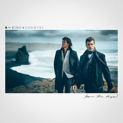 Cover of Burn The Ships