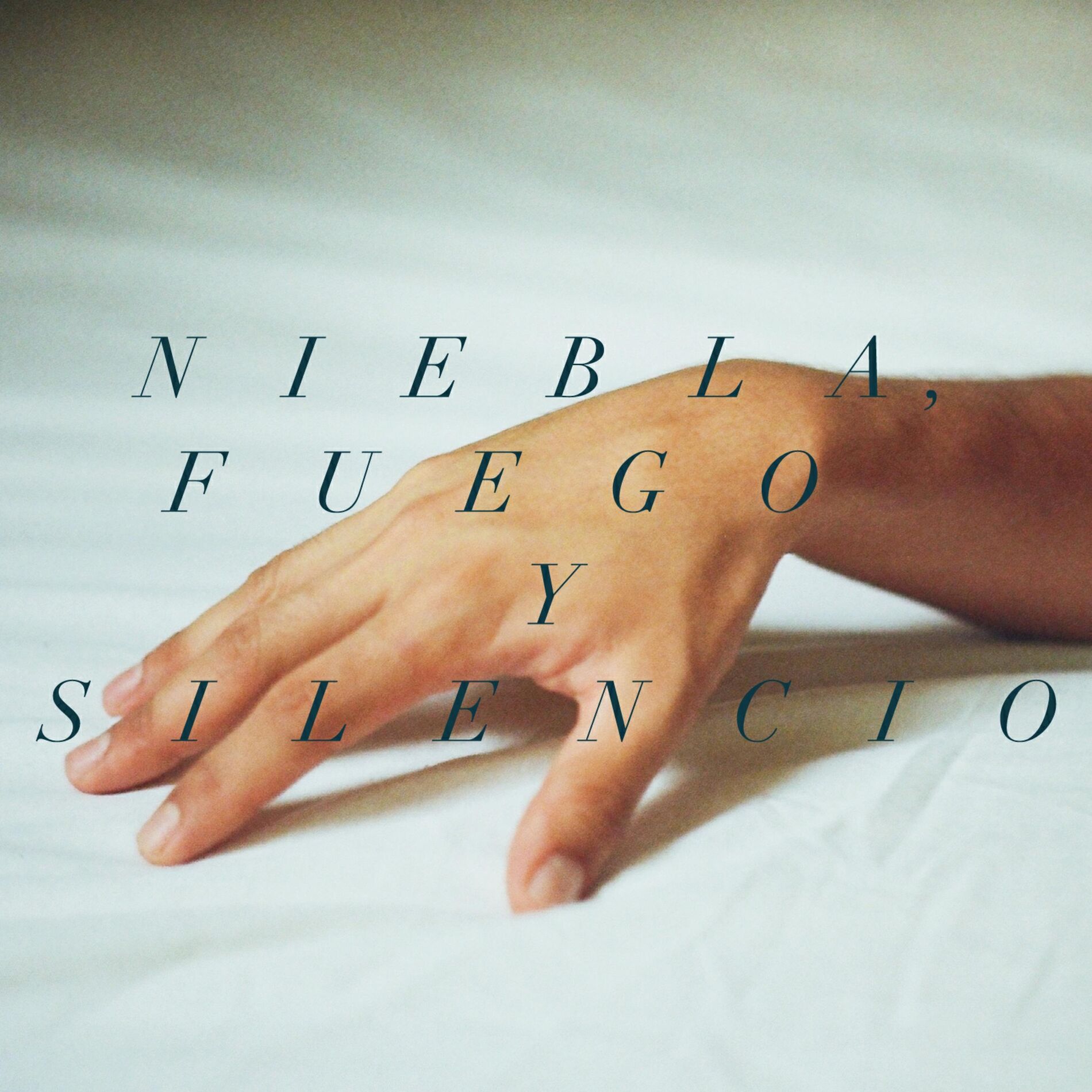 Album cover of Niebla, Fuego y Silencio