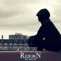 Cover of Reborn