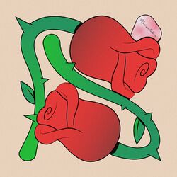Cover of Manipuladora