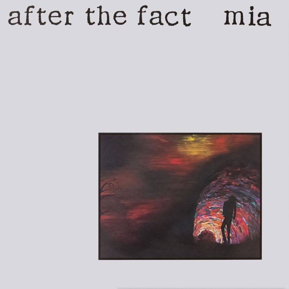 Picture of After the Fact