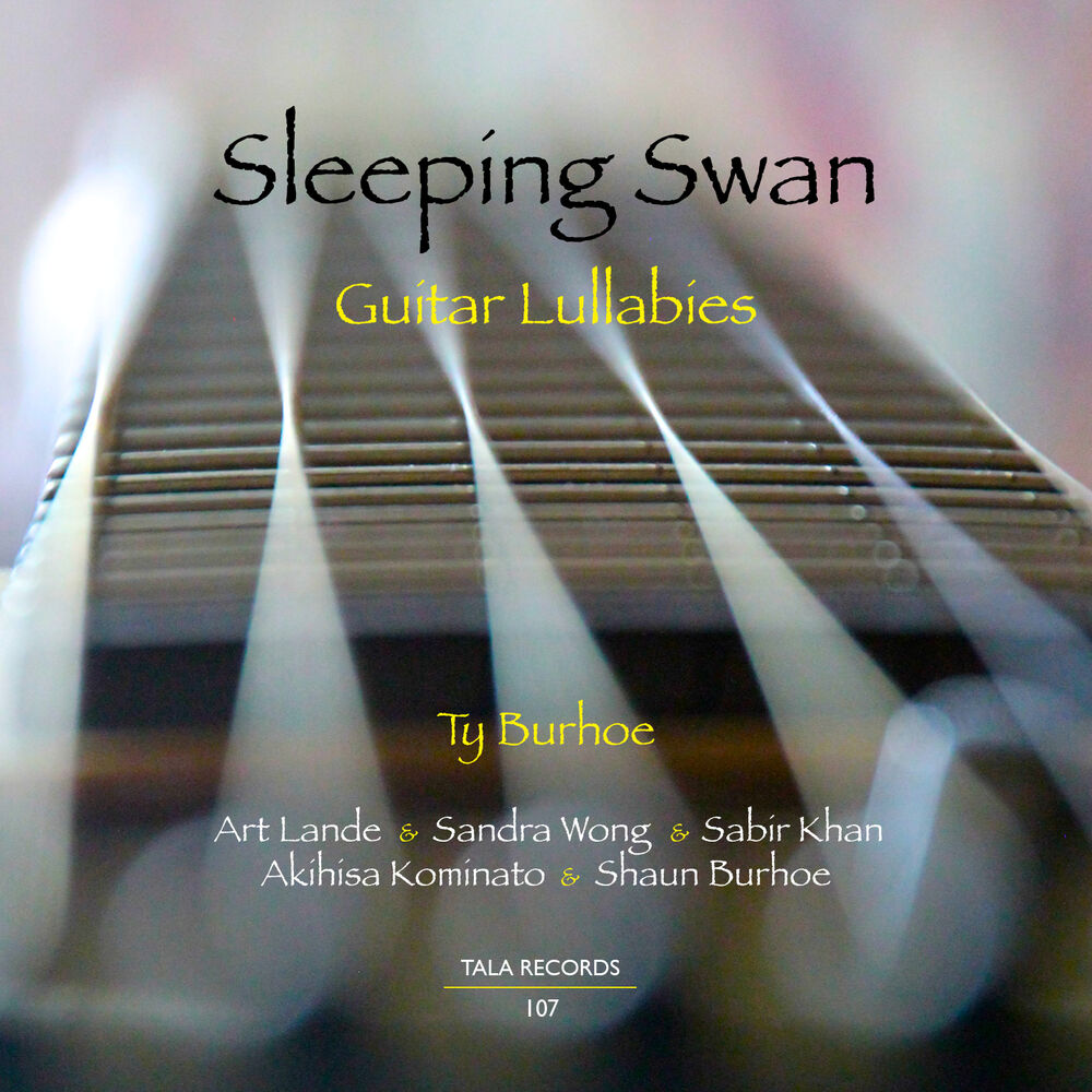 Picture of Sleeping Swan