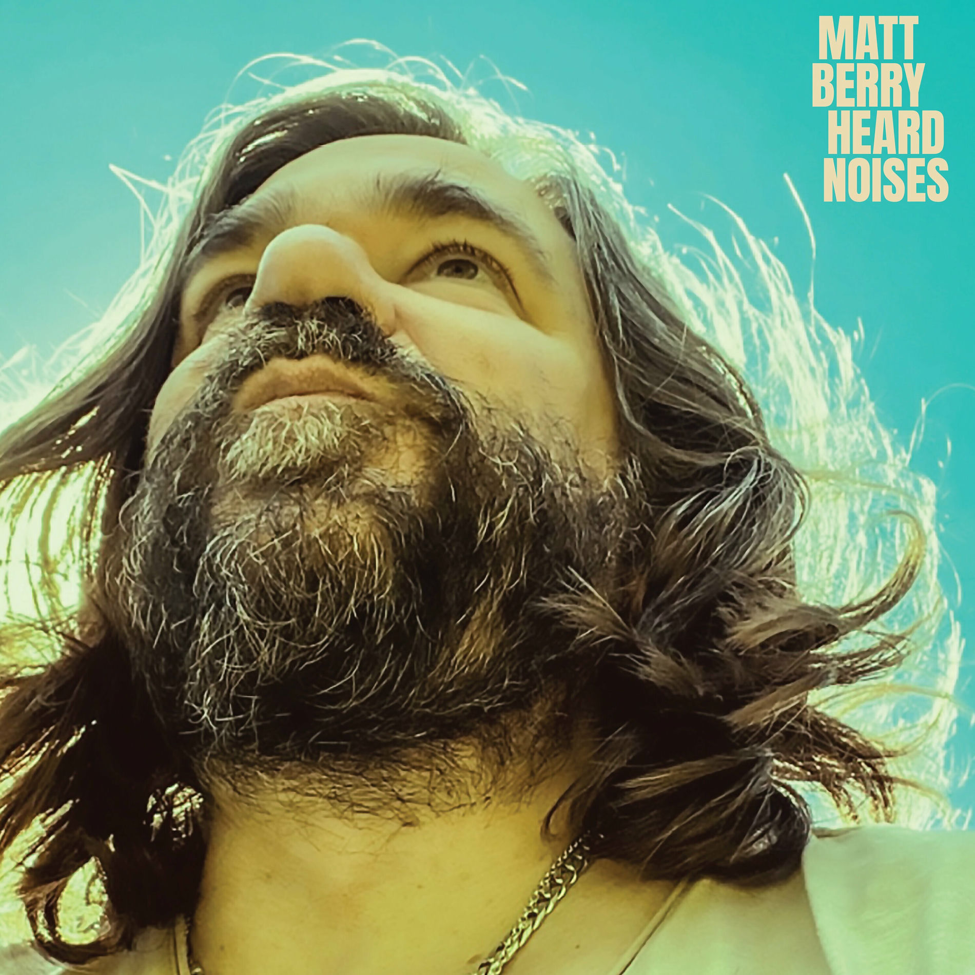 Album cover of Heard Noises