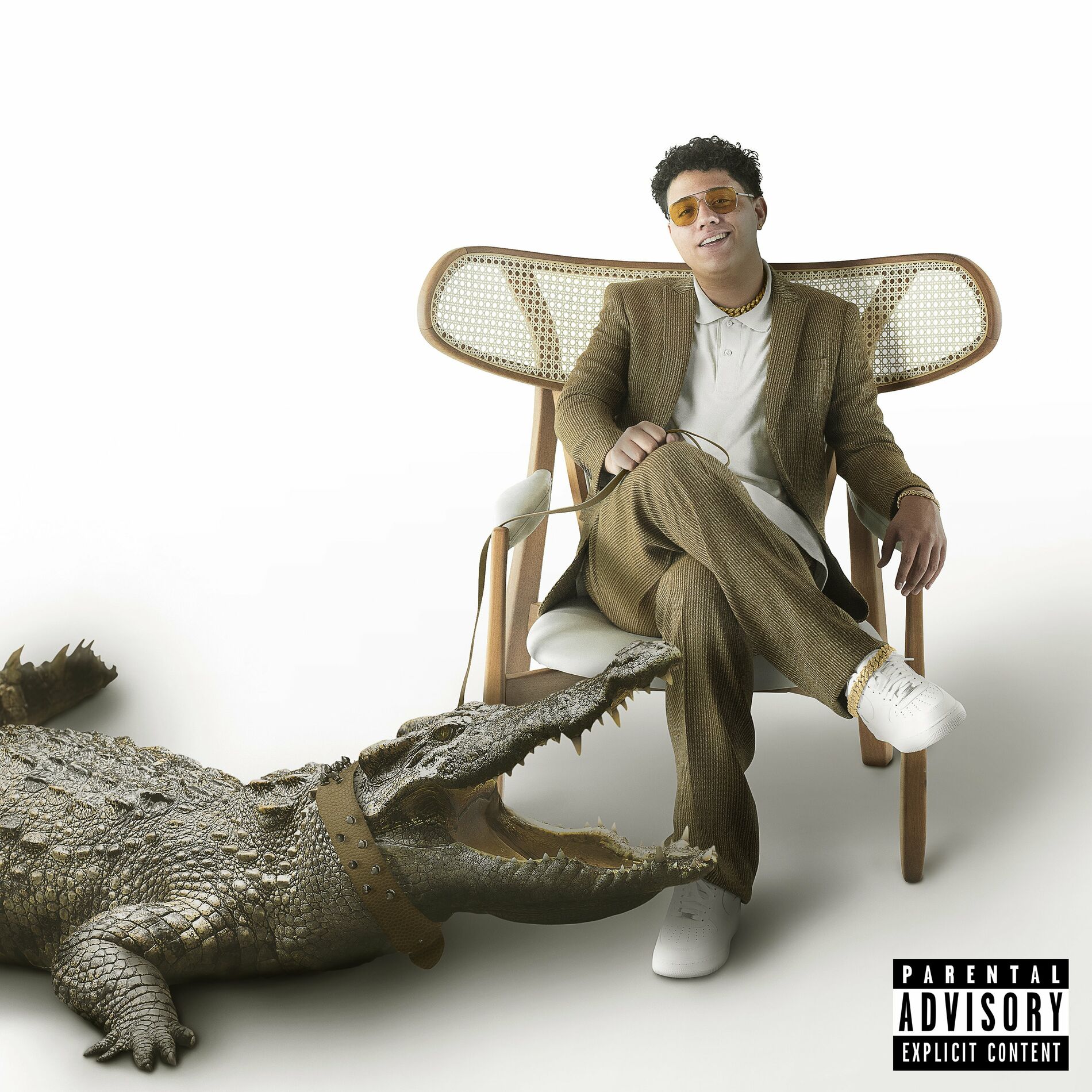 Album cover of Lágrimas de Crocodilo